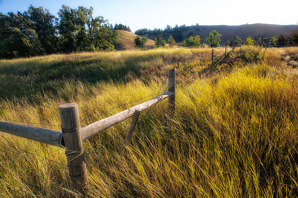Early Morning, Grassland Fence, Spearfish Canyon, SD