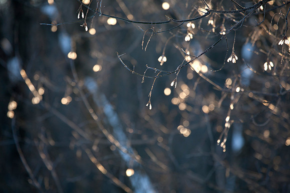 Points of Light