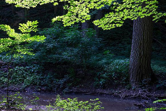 Starved Rock State Park, IL