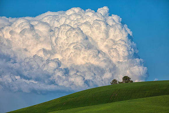 Afternoon Thunderhead, Near Palouse, WA