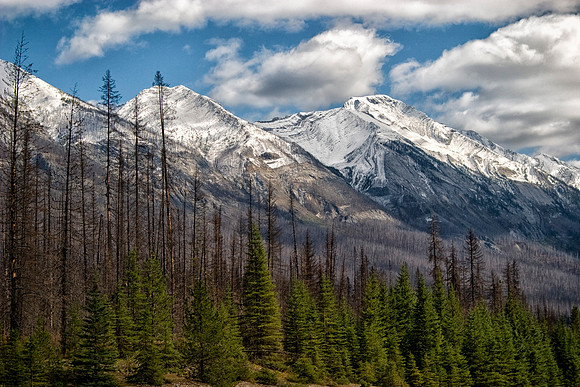 Hawk Ridge, Kootenay National Park, Alberta, Canada