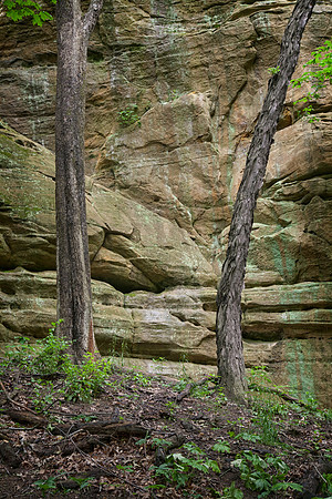 Illinois Canyon, Starved Rock State Park, IL