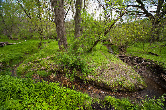 Stream Bend