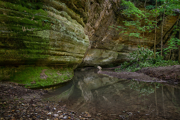Illinois Canyon, Starved Rock State Park, IL
