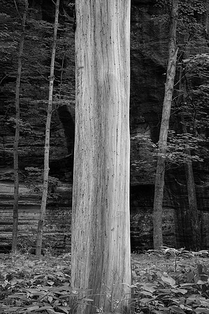 Starved Rock State Park, IL