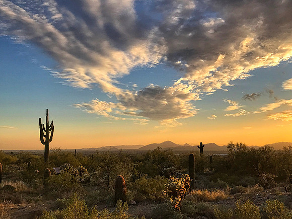 Sunset, McDowell Sonoran Preserve, Scottsdale, AZ