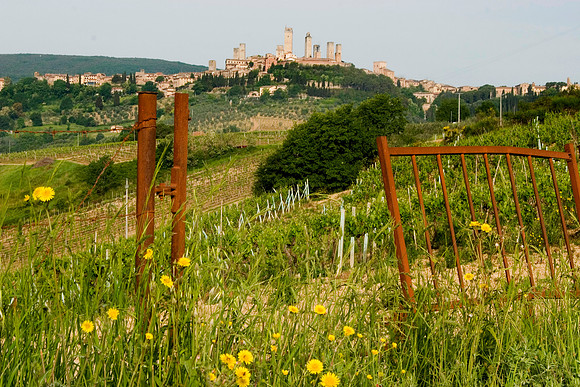 Rusted Gates, San Gimignano, Italy