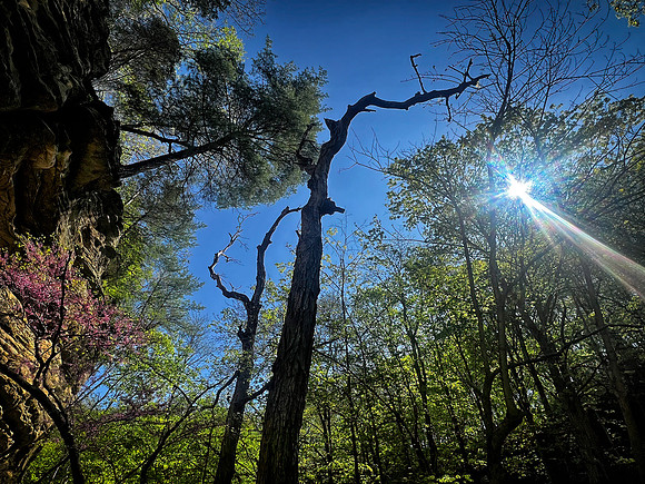 Starved Rock State Park, IL