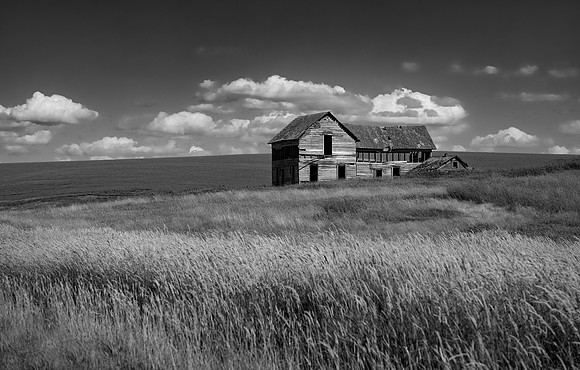 Abandoned Homestead, WA