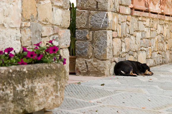 Afternoon's Rest, Vertine, Italy