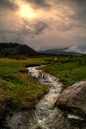 Stream, Yellowstone National Park, WY