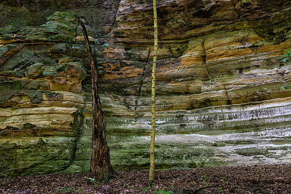 Illinois Canyon, Starved Rock State Park, IL