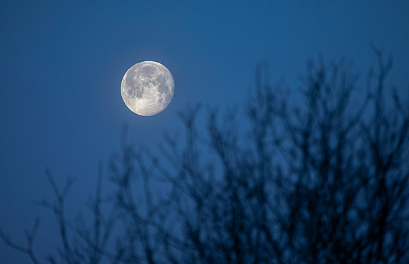 Morning Moon