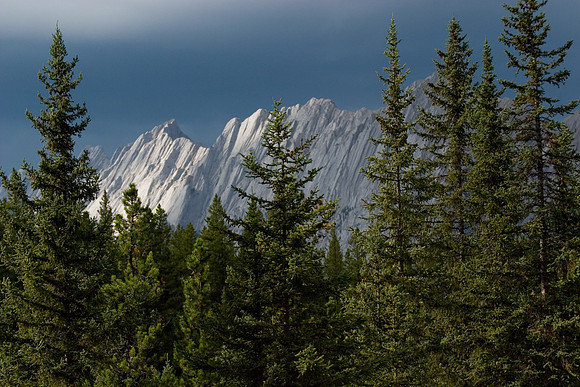 Sirdar Mountains II, Jasper National Park, Alberta, Canada