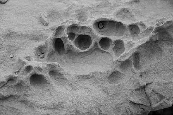 Pitted Sandstone, Capitol Reef National Park, UT