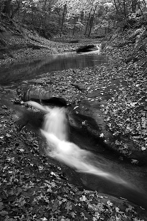 Autumn, Upper Illinois Canyon, Starved Rock State Park, IL