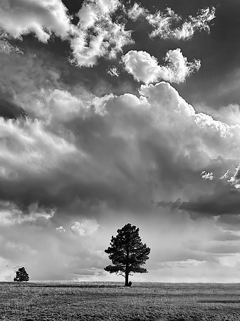 Gathering Monsoon, Apache Creek, NM