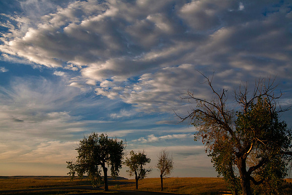 Setting Sun on Trees and Clouds, Badlands National Park, SD