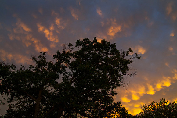 Mammatus Clouds at Sunset, St. Charles, IL