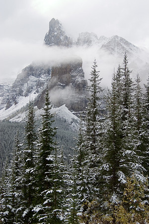 First Snowfall, Banff National Park, Alberta, Canada