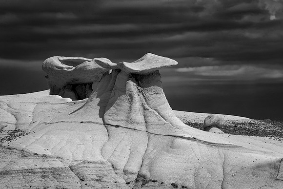 Stone Wing, Bisti/De-Na-Zin Wilderness, NM