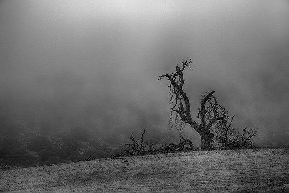 Gray Day, Ramona, CA