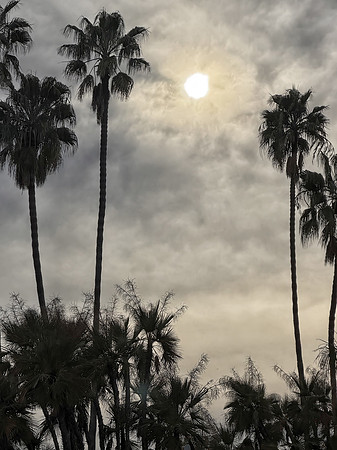 California Dreamin'