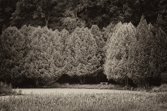 Minnesota Landscape Arboretum, Chaska, MN