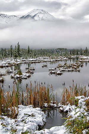Overnight Snow, Vermillion Lakes, Banff National Park, Alberta, Canada
