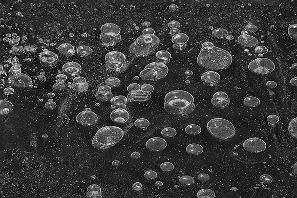 Ice Bubbles, Sterling Pond, Lisle, IL