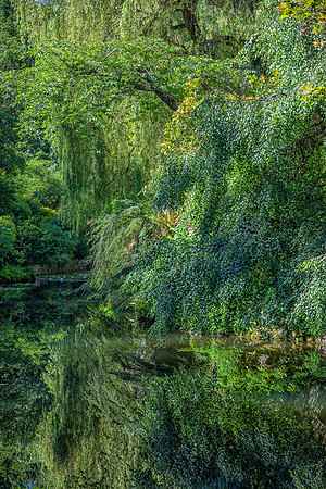 Reflections, Butchart Gardens, Victoria, BC