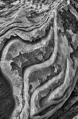 Cracked Eggs, Bisti/De-Na-Zin Wilderness Study Area, Farmington, NM