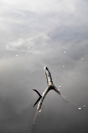 Floating I, Lisle, IL