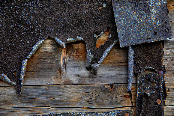 Tar Paper, Renville County, ND