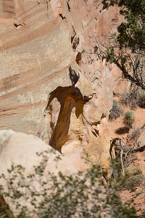 The Witch of Cohab Canyon, Capitol Reef National Park, UT