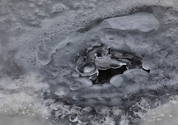 Ice, DuPage River, Winter, Morton Arboretum, Lisle, IL