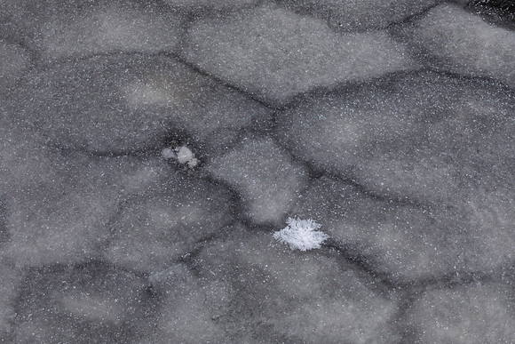 Ice, DuPage River, Winter, Morton Arboretum, Lisle, IL