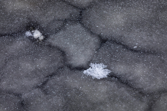 Ice, DuPage River, Winter, Morton Arboretum, Lisle, IL