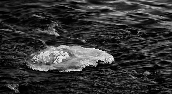 Ice at River's Edge, Fox River, Geneva, IL