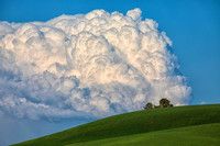 Afternoon Thunderhead, Near Palouse, WA