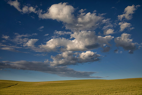 Morning, Genesee, ID