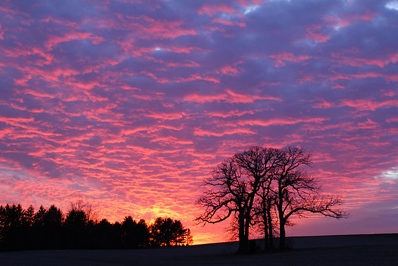 Sunset, Kane County, IL