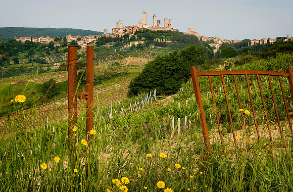 Rusted Gates, San Gimignano, Italy