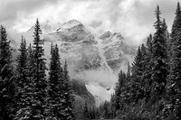 First Snow of the Season, Banff National Park, Alberta, Canada