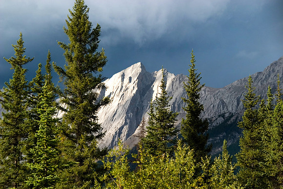 Jasper National Park, Alberta, Canada