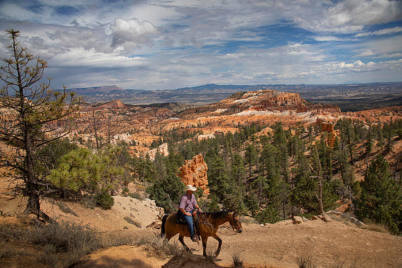Horseback, Bryce Canyon National Park, UT