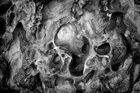Tafoni Rock IV, Capitol Reef National Park, UT