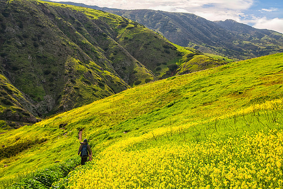 Sheryl Hiking, Channel Islands National Park, CA