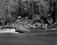 Merced River, Rain, Yosemite National Park, CA