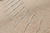 Sidewinder Tracks, Death Valley National Park, CA